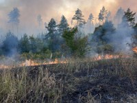 В Вольске по вине неизвестных лиц тушили низовой пожар