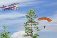 Саратовцев приглашают нарисовать символ охраны лесов в России