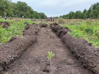 Сегодня в Балаковском районе прошла Всероссийская акция «Сохраним лес»