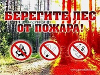 На территории Саратовской области действует пожароопасный сезон