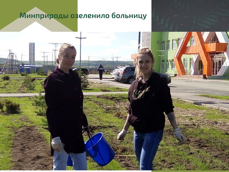 Минприроды в рамках «Сада памяти» озеленило территорию новой инфекционной больницы 