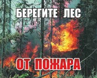 В двух районах Саратовской области произошли лесные пожары