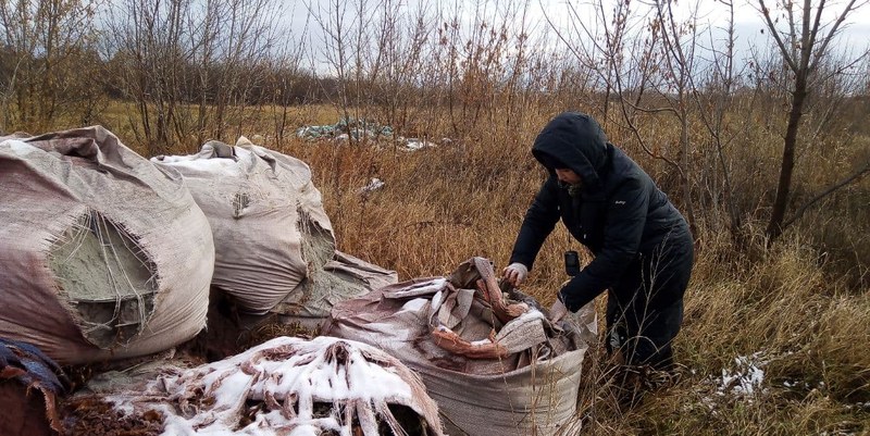Минприроды осуществило инспекционный выезд в Волжский район Саратова