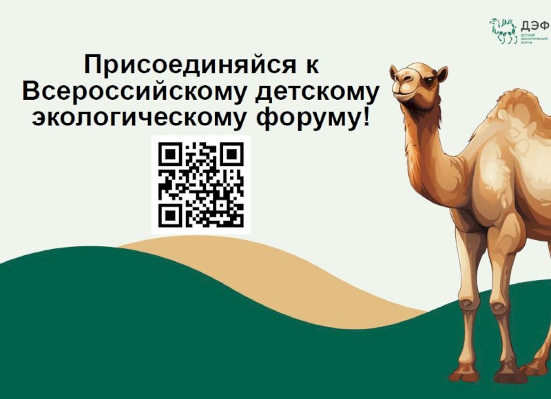 Команду саратовских школьников ждут в Челябинске на детском экофоруме