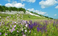 В Саратовской области охраняются федеральные природные территории общей площадью более 70 тысяч га