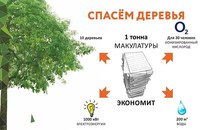 Саратовцев приглашают сдать макулатуру и спасти дерево