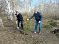 Во время субботника на Кумысной поляне саратовцы собрали 20 кубометров мусора 