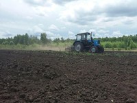 В рамках нацпроекта «Экология» площадь по воспроизводству лесов в 2020 году будет увеличена на 9%