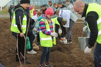 В Саратовской области проходит осенняя экологическая акция «Живи, лес!»
