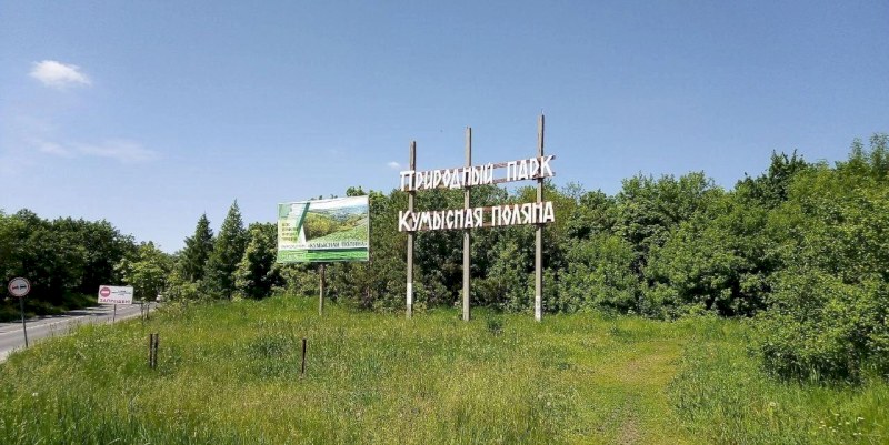 Министр природных ресурсов и экологии Саратовской области Константин Доронин о деревьях Кумысной поляны