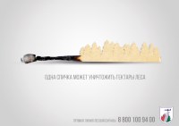 Саратовцам запрещено посещать леса области из-за противопожарного режима
