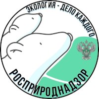 Юных саратовцев приглашают к участию в экопремии «Экология – дело каждого»