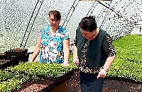 Уровень лесовосстановления в Саратовской области увеличился втрое