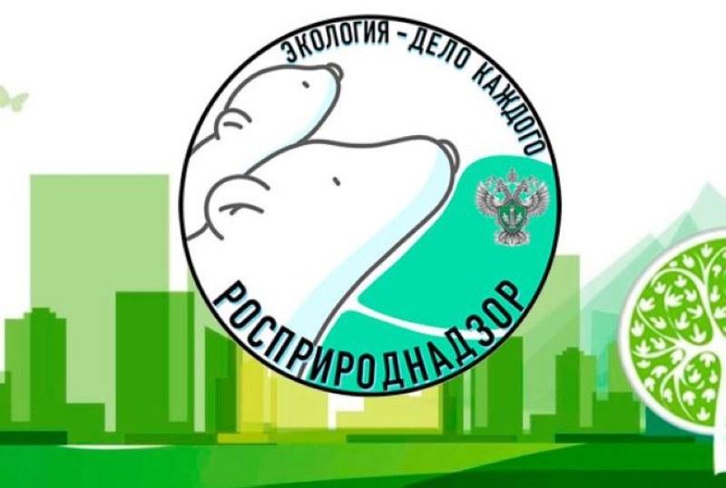 Юных саратовцев приглашают к участию в экопремии «Экология – дело каждого»
