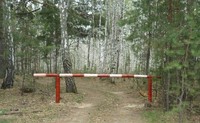 В связи с особым противопожарным режимом в лесах области усилено патрулирование