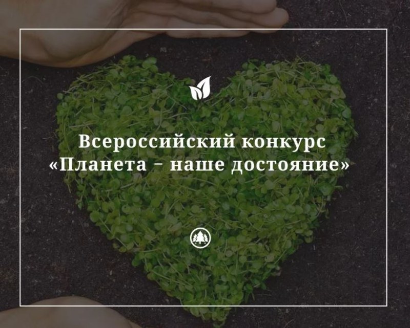 Саратовцев приглашают к участию в экоконкурсе «Планета – наше достояние»