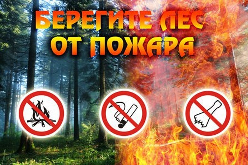 В Саратовской области произошло два низовых пожара