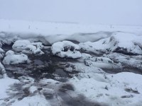 Инспекторы минприроды и полицейские выявили нарушителей на ассенизаторских машинах
