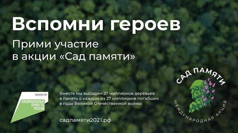 Минприроды в рамках акции «Сад памяти» высадит 200 деревьев в энгельсском парке «Патриот»