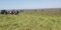 В Саратовской области школьники высаживают деревья в честь героев Великой Отечественной войны