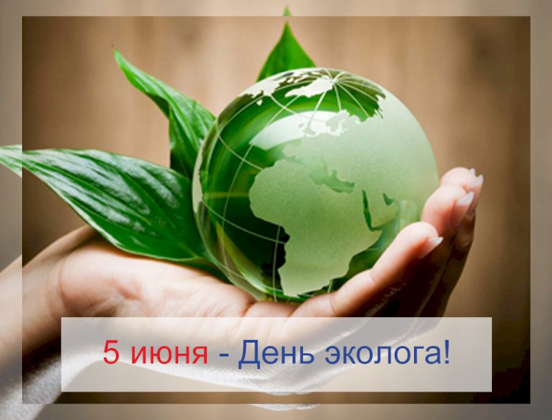 В Саратове пройдет торжественное мероприятие ко Дню эколога