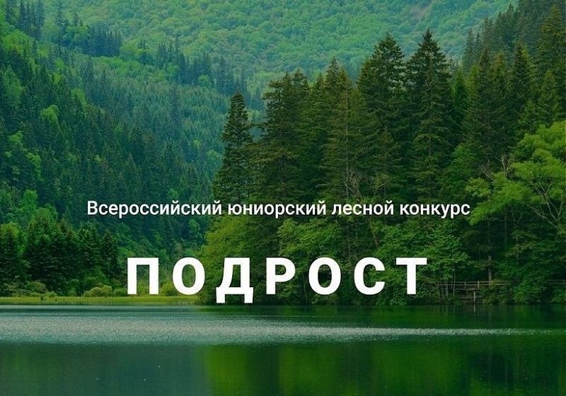 Саратовцев приглашают к участию в конкурсе школьных лесничеств 