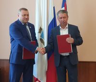  Минприроды и областные лесопитомники будут участвовать в озеленении Энгельса