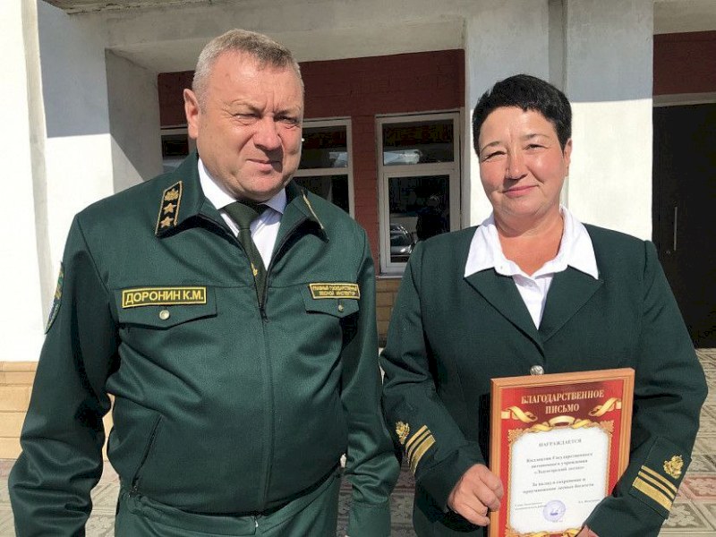 Саратовский лесовод лидирует в номинации телеконкурса «Человек с большой буквы»