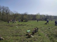 В Саратове на Кумысной поляне высадили 1700 юных деревьев