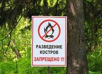 О прохождении пожароопасного периода в лесах области