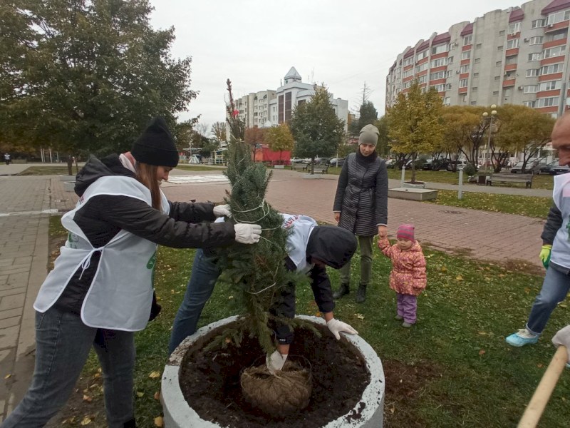 В Саратовской области в рамках «Единого дня посадки леса» высадят 300 деревьев 