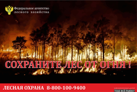 В лесах Саратовской области идет пожароопасный сезон