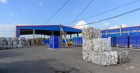 Сохранено более 30 тысяч деревьев благодаря работе областной системы по обращению с ТКО