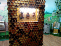 Более 1 000 человек посетили Музей пчелы в новогодние праздники