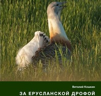 В преддверии Дня эколога саратовский фотохудожник презентует в Москве достопримечательности природы Саратовской области
