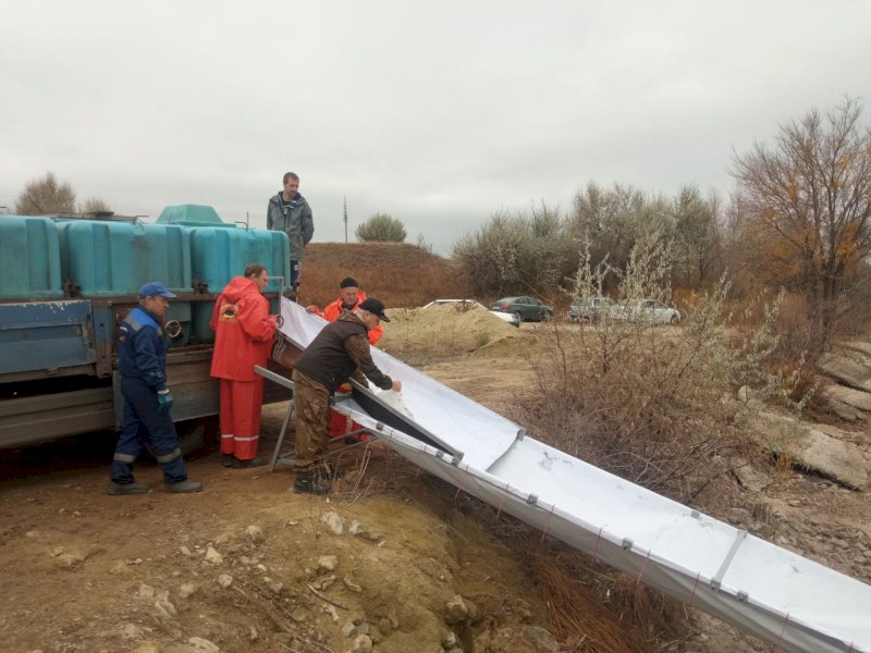 Рыбоводы поселка Золотое Красноармейского района выпустили в Волгу 200 тысяч мальков травоядных рыб