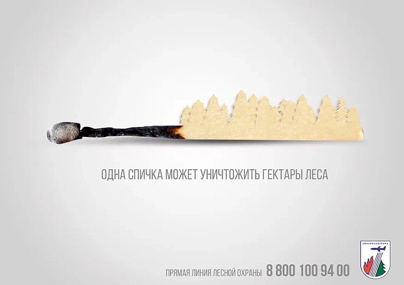 Саратовская область включилась в противопожарную кампанию «Останови огонь!»
