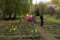 Юные саратовцы вступили в ряды «Эколят»