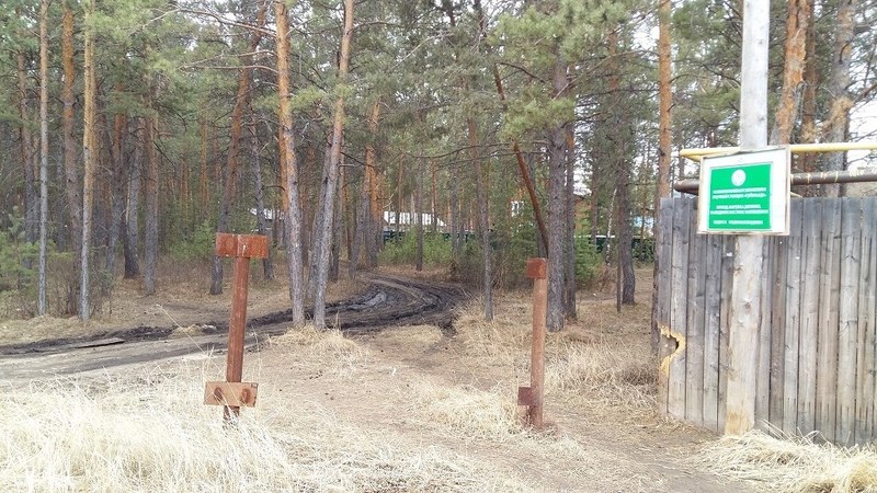 За захват участка леса саратовец заплатит 20 тысяч рублей