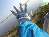 Жители Саратова и области собрали с берегов водоемов 7500 кубометров мусора