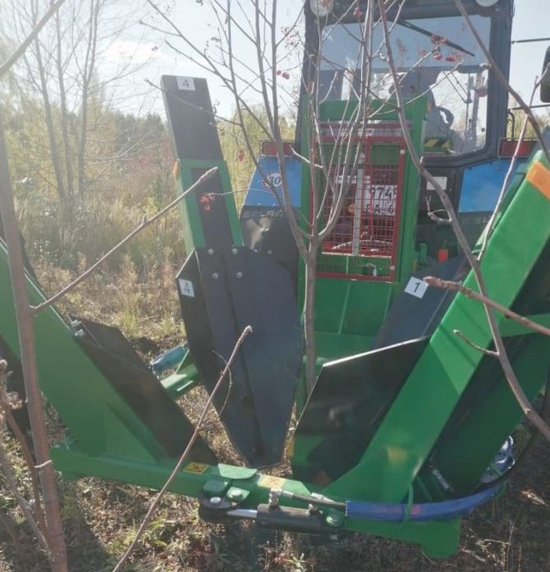В Новобурасском лесопитомнике продолжается выкопка деревьев для озеленения Саратова