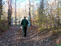 Инспекторы минприроды обнаружили заграждения к реке Волге на лесных участках в трех районах области