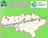 В рамках развития экотуризма в Саратовской области будут продвигать туризм грибной