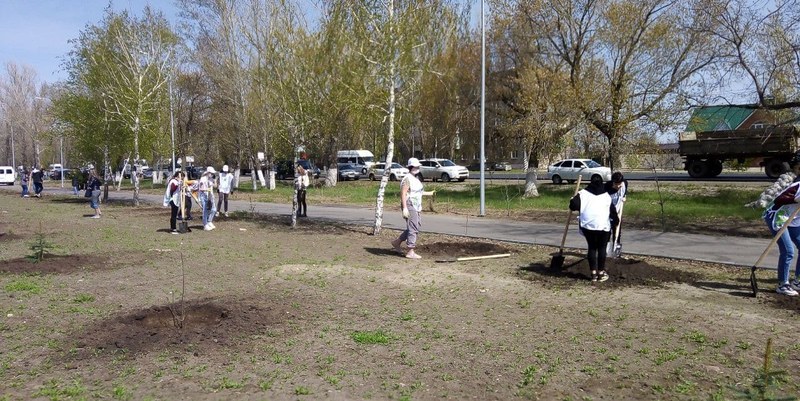  В Саратовской области почтили память воинов высадкой 200 деревьев в «Саду памяти»