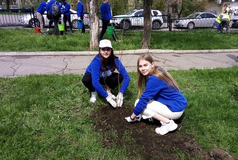 В Саратове в рамках «Сада памяти» озеленили сквер героя Великой Отечественной войны