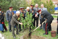 В 2020 году в рамках акции «Сад памяти» лесохозяйственные учреждения области высадят около 3 миллионов сеянцев сосны, дуба, ясеня и других пород