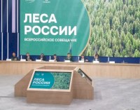 В Москве озвучили вопросы компенсационного лесовосстановления в Саратовской области