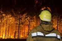  Напоминаем, что в лесах продолжается пожароопасный сезон