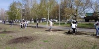  В Саратовской области почтили память воинов высадкой 200 деревьев в «Саду памяти»