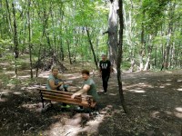 В Саратове на Кумысной поляне вблизи Дуба-великана установили лавочку